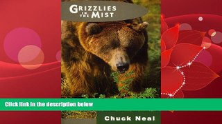 Online eBook Grizzlies in the Mist