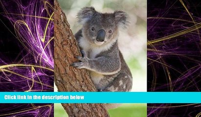 Download Video: Online eBook Koala Bear Journal: 150 page lined notebook/diary