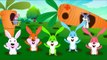 Five Little Rabbits | Nursery Rhymes