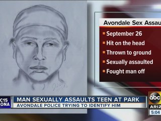 Teen sexually assaulted at park in Avondale