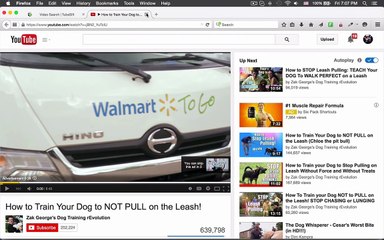 Video Ads Crash Course 3.0 Review -TubeSift Demo - Hippo Review