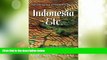 Big Deals  Indonesia, Etc.: Exploring the Improbable Nation  Best Seller Books Most Wanted