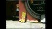 Ed Edd n Eddy Bumper Plank Eating Candy (HD)