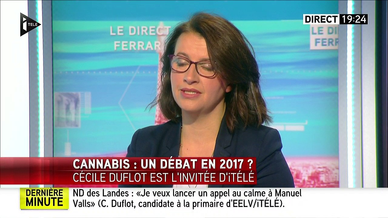 Cécile Duflot: "la prohibition n'est pas la solution, oui il faut légaliser le cannabis"