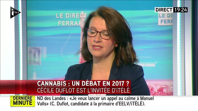 Cécile Duflot: la prohibition n'est pas la solution, oui il faut légaliser le cannabis