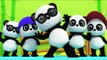 Bao Panda | Five Little Pandas | 3D Nursery Rhymes From Kids Tv