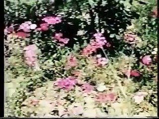 NOOR JAHAN OLD PUNJABI SONG - AASIYA