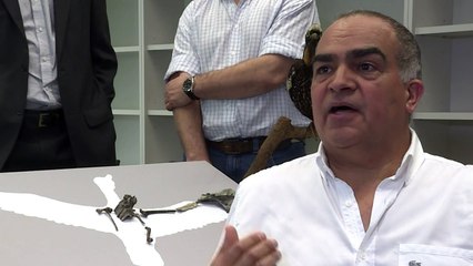 Fósil de ave da pistas sobre comunicación entre especies