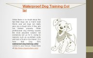 Waterproof dog training collar