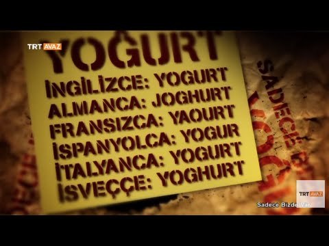 Türk İcadı Yoğurdu Yakından Tanıyalım - Sadece Bizde Var - TRT Avaz