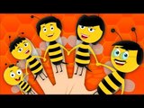 Finger Family Bee | Nursery Rhymes | Baby Songs | Kids Rhymes