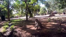 Sri Lanka 2016 gopro