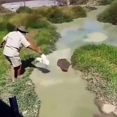 Rodeo à dos de croco... Ce gars est dingue