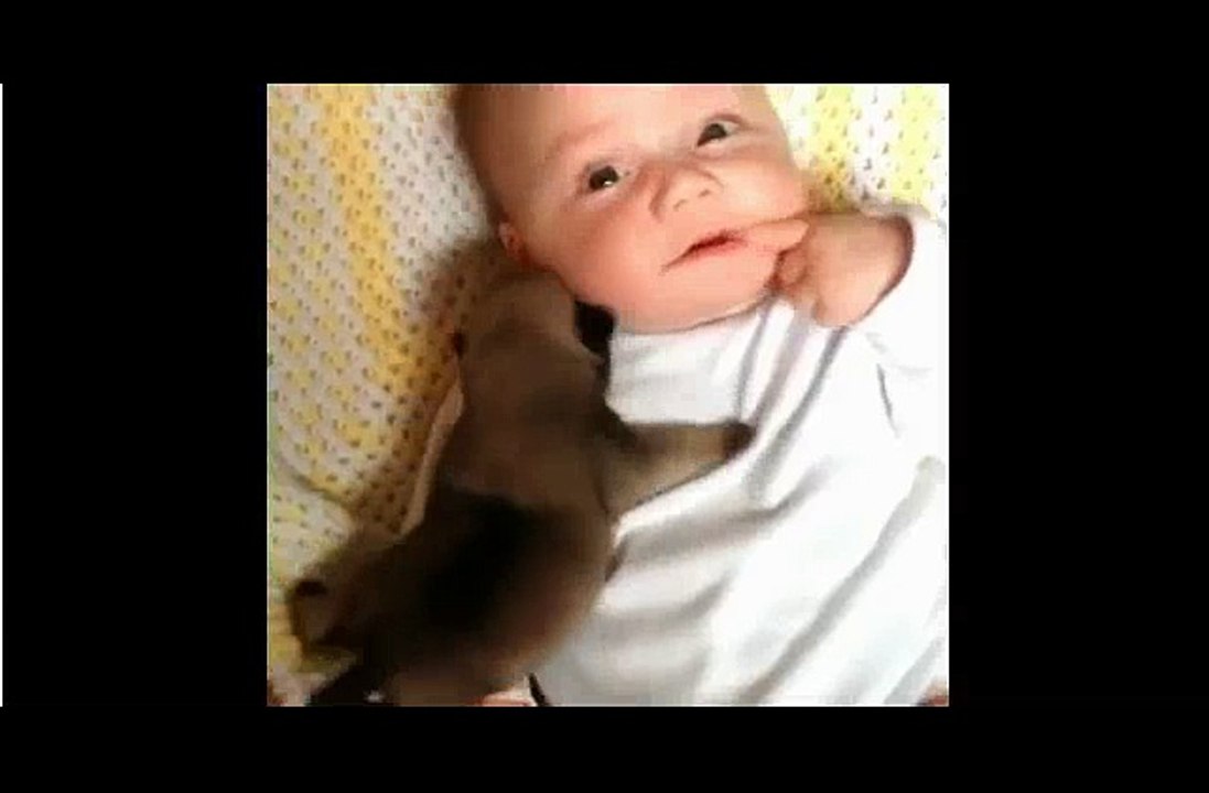 Un cucciolo e un neonato si vedono per la prima volta. L’incontro vi farà sciogliere il cuore