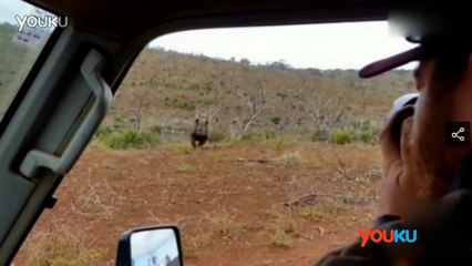 Dòng xe Ford Focus nhập đắt không