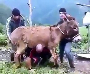 Yok artık daha neler..