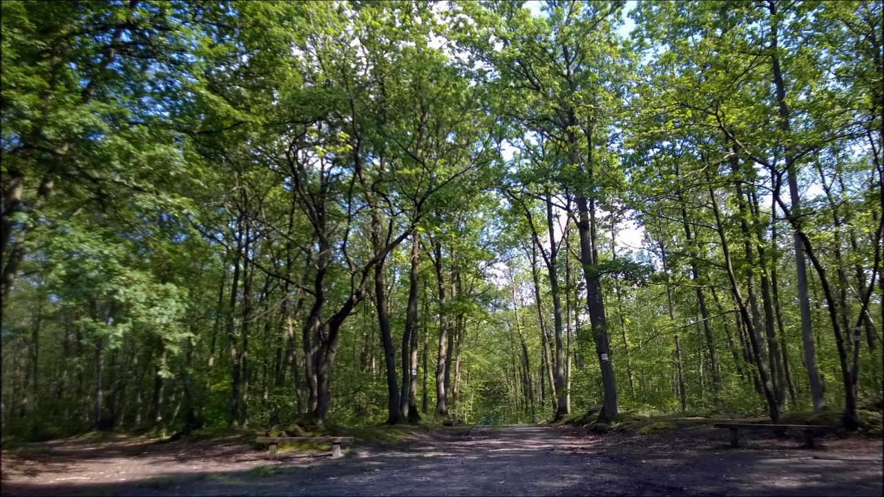 Rando Saint-Cloud & Fausses Reposes