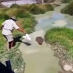 Cet homme prend le risque de s’assoir sur un énorme crocodile