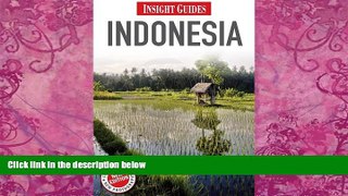 Books to Read  Indonesia (Insight Guides)  Best Seller Books Best Seller