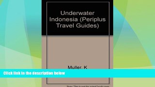 Big Deals  Underwater Indonesia: A Guide to the World s Greatest Diving (Periplus Travel Guides)