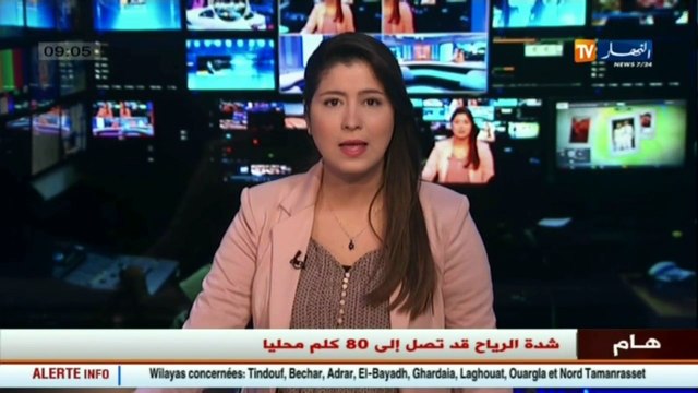 نشرية خاصة للأرصاد الجوية تحذر من رياح قوية في الجنوب