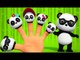 Bao Panda | Finger Family | Panda Finger Family Song | Kids TV