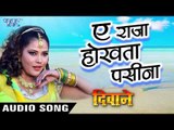ऐ राजा होखता पसीना - Ae Raja Hokhata Pasina - Deewane - Chinttu - Bhojpuri Hot Songs 2016 new