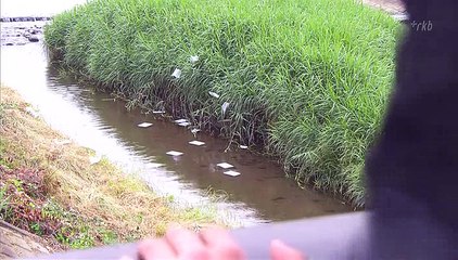 Beginners! Ep 1- Hebsub