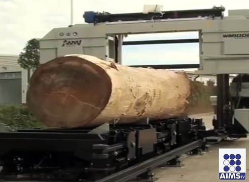 درختوں کی کٹائی سے کیسے کارآمد چیزیں بنائی جاتی ہیں دیکھیں اس وڈیو میں