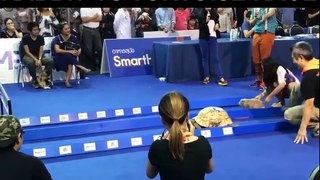 Rabbit Vs Tortoise race First Time Watch Who Win