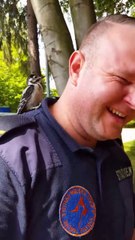 Un Pivert pense que cet homme est un arbre