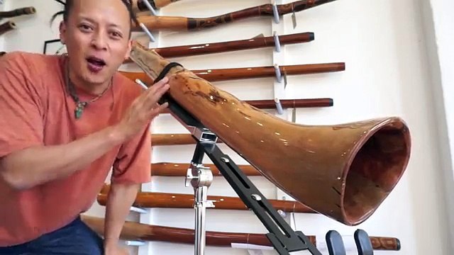 STIX Didgeridoo D# (3057)