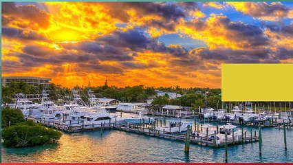 Miami Charter Fishing