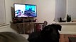 Ce Rottweiler hurle devant la vidéo d'un chien qui hurle devant Zootopia