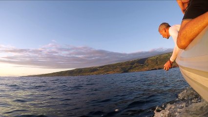 2015_Nage avec les dauphins