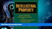 book online  Intellectual Property: Valuation, Exploitation, and Infringement Damages
