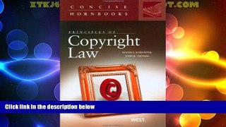 complete  Principles of Copyright Law (Concise Hornbook Series)