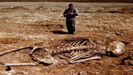 Giant-human-skeleton-found-in-Saudi-Arabia