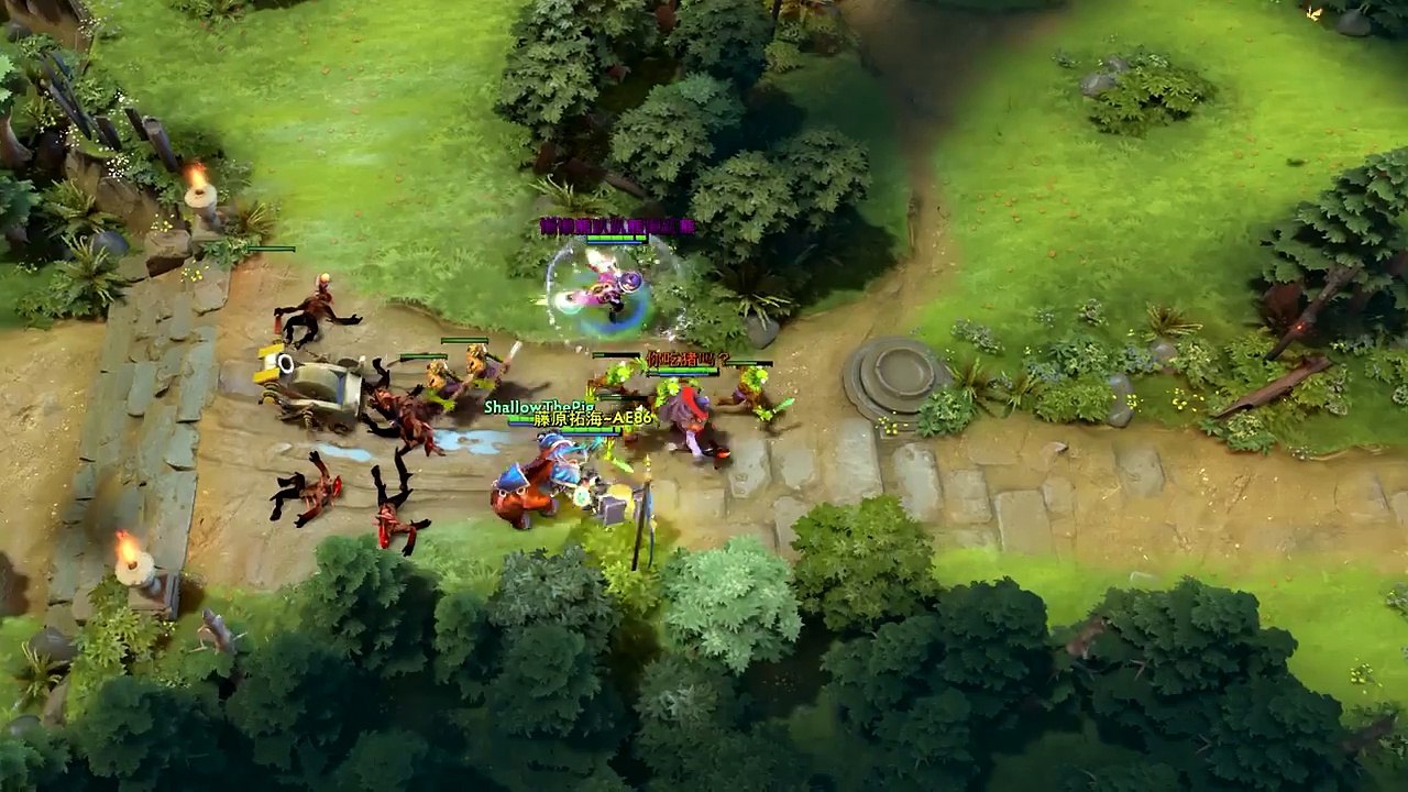 Dota WTF Moments 246