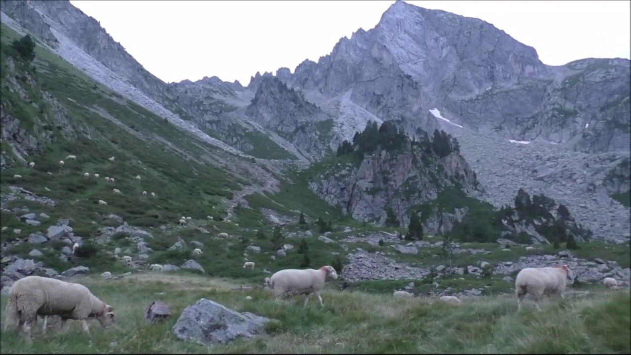 (Traversée des Pyrénées) RENCONTRES DE CHEMIN, 2
