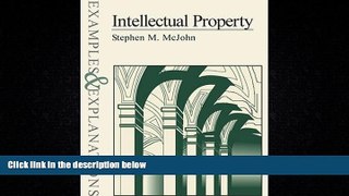 FULL ONLINE  Intellectual Property Examples   Explanations (The Examples   Explanations Series)