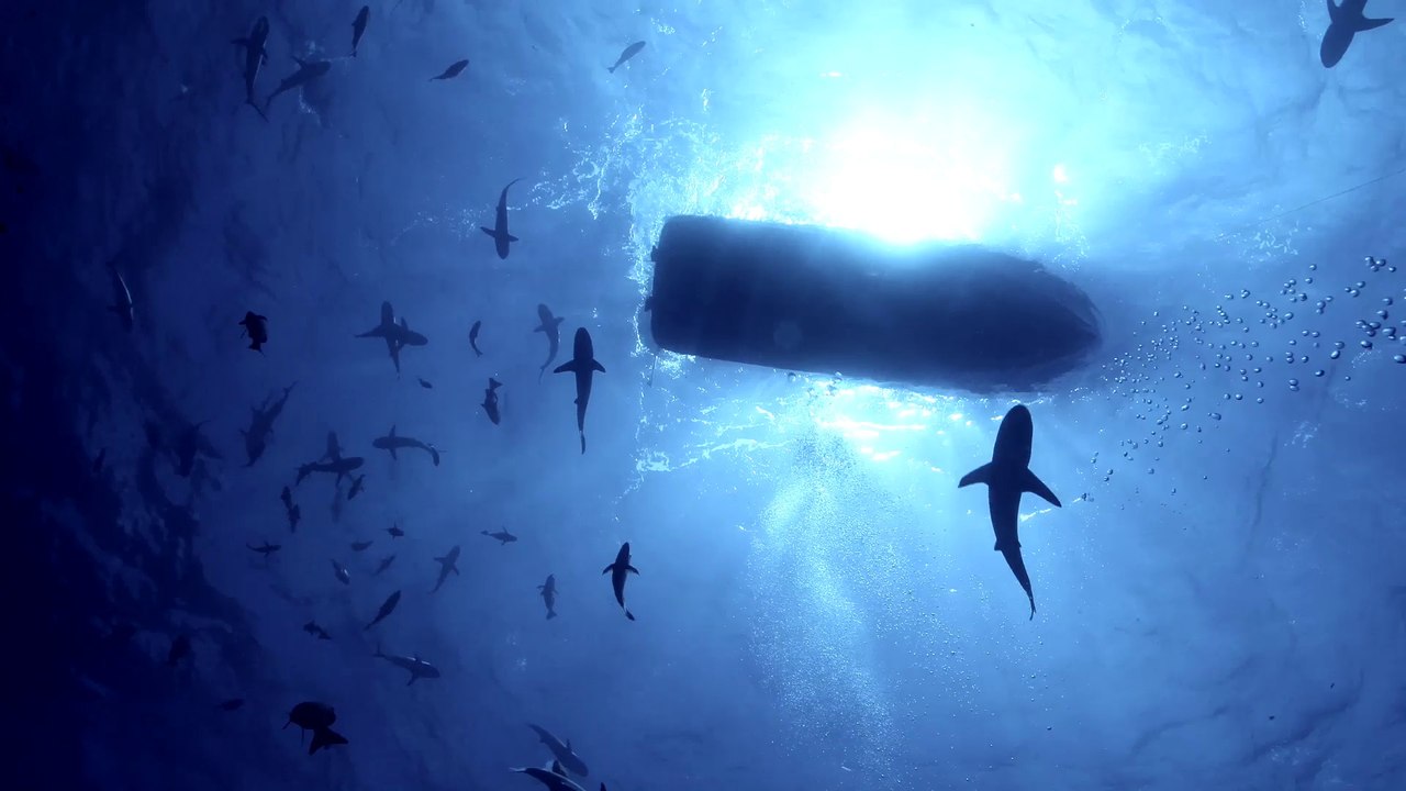 Blancpain Ocean Commitment