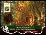 Surah Rahman - Beautiful and Heart trembling Quran recitation by Syed Sadaqat Ali_mpeg4