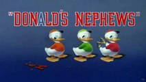 Donald Duck ! Donalds Nephews