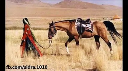 very beautifull motivational poetry islamic poetry