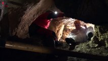 Descubren grabados animales en la cueva de Armintxe