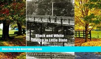 Big Deals  Black and White Justice in Little Dixie: Three Historical Essays  Full Ebooks Best Seller