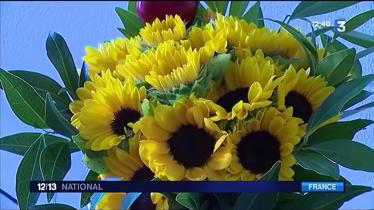 Attentats à Nice : la difficile rééducation des blessés