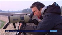Environnement : la migration des oiseaux, casse-tête des agriculteurs
