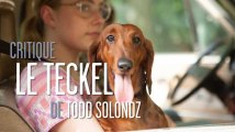 Critique du film « Le Teckel » de T. Solondz : chronique acerbe de la vie d’un chien
